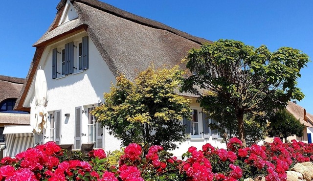 Vacation home for 4 guests with 96m² in Zierow (306908)