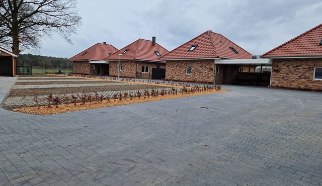 Vacation home for 8 guests with 106m² in Haselünne (267138)