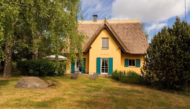 Vacation home for 8 guests with 130m² in Krienke (307225)