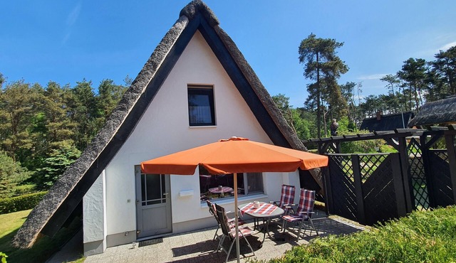 Vacation home on Usedom. In a quiet, idyllic location on the Peene river