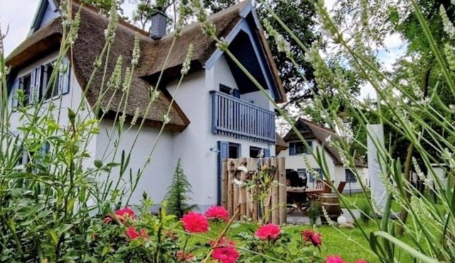 Vacation home Silbermöwe 136sqm three bedrooms- sauna & fireplace - Ferienhaus Silbermöwe-136