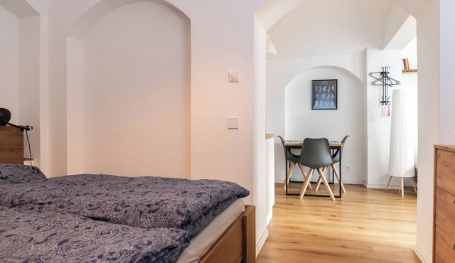 Vaulted apartment with terrace in Dresden Neustadt Your stylish temporary home