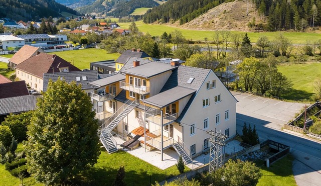 Very spacious apartment in ski and hike region
