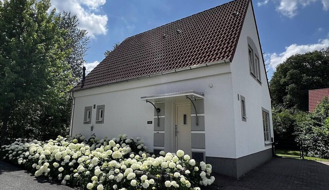 Villa Mina