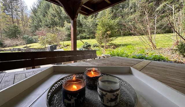 VILLA WALDHAUS WILLINGEN SAUERLAND - Charming Villa near Forest for 12 Guests with Huge Garden - Nearby Winter Sports Area with Ski Slope - Hiking and Nature