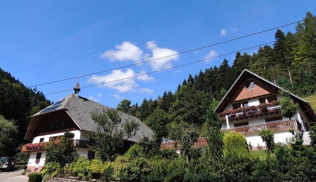 Waldbauernhof Apartment 1