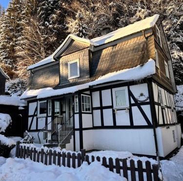 Waldtraum Lodge Winterberg für 10 Personen mit Garten und Grill