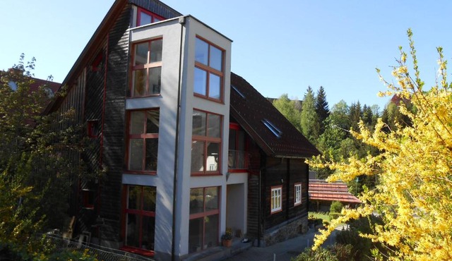 Willa auf der Steinplatte