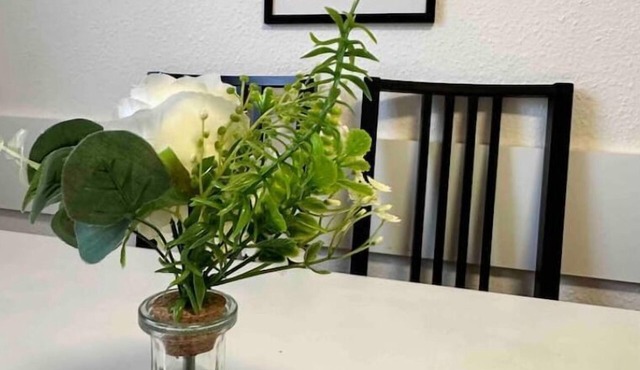 Wohnung in Ibbenbüren mit 8 Queensize-betten