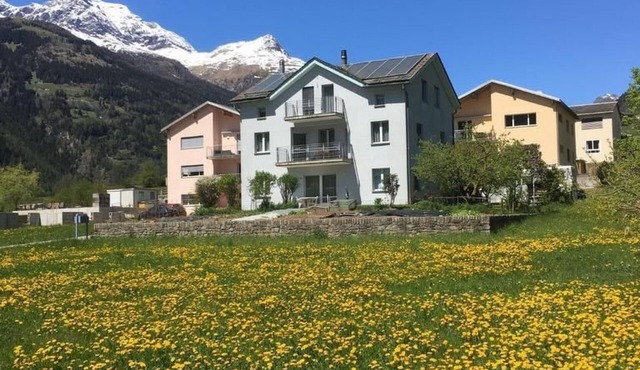 Wohnung mit Bergblick by Interhome