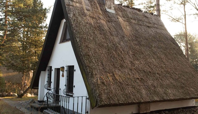 Your family paradise on Usedom am Achterwasser idyllic in the nature reserve