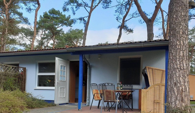 Zinno BU 02 - Zinnowitz Pine Route 5c Ferienbungalow 02