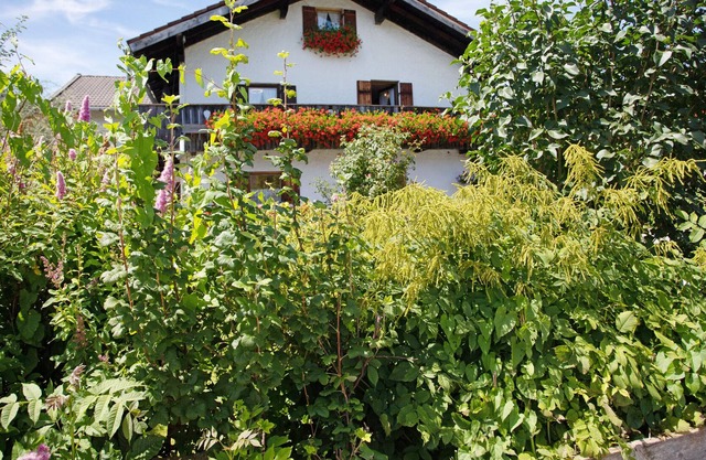 "Almröserl" apartment with mountain view, balcony & Wi-Fi