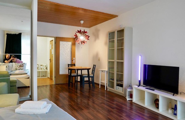 Energetic Mountain Apartment