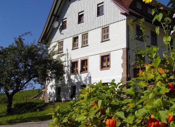 Haus 