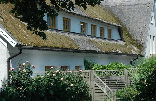 Höfthus 