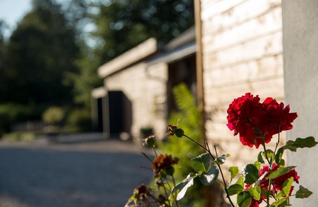Holiday house Regen for 1 - 2 persons - Luxury holiday home
