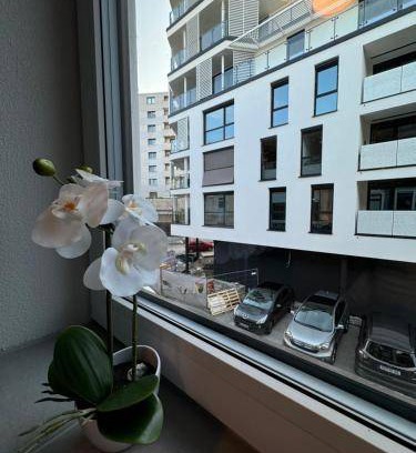 Rosenheim Bed & Breakfast | 15 m² Bed and breakfast ∙ 2 guests