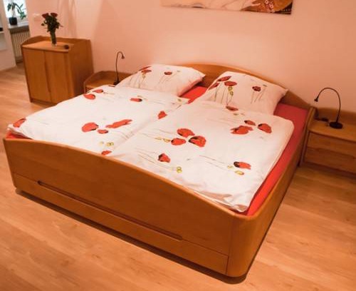 City Centre Regensburg Apartment | 47 m² Apartment ∙ 1 bedroom ∙ 4 guests