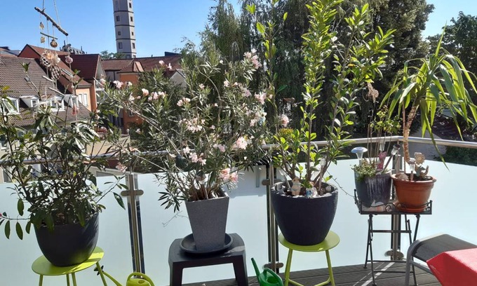 Schweinfurt Apartment | 55 m² Apartment ∙ 1 bedroom ∙ 2 guests