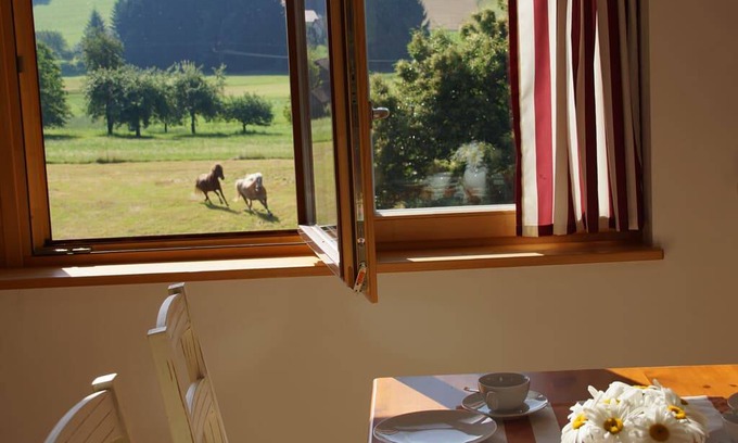 Ruderszell Apartment | 57 m² Apartment ∙ 1 bedroom ∙ 4 guests