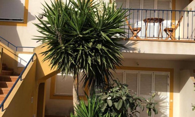 Palomares Apartment | 60 m² Apartment ∙ 2 bedrooms ∙ 5 guests