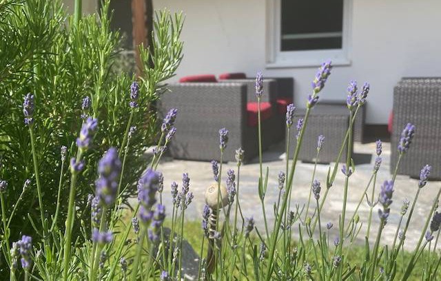 Taching a.See Apartment | 80 m² Apartment ∙ 2 bedrooms ∙ 3 guests