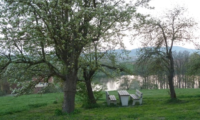 Ehingen House | 80 m² House ∙ 3 bedrooms ∙ 6 guests