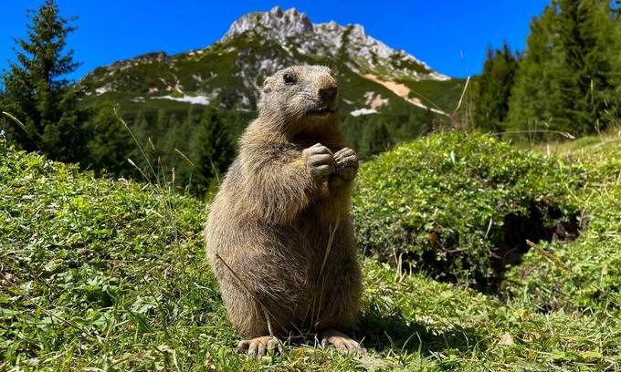Ramsau bei Berchtesgaden Apartment | Apartment ∙ 1 guest
