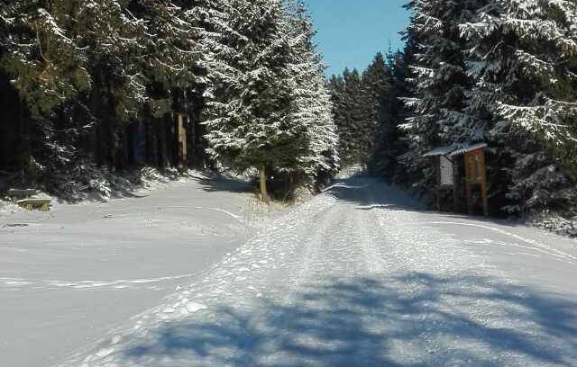 Kirchenlamitz Apartment | Apartment ∙ 1 bedroom ∙ 4 guests
