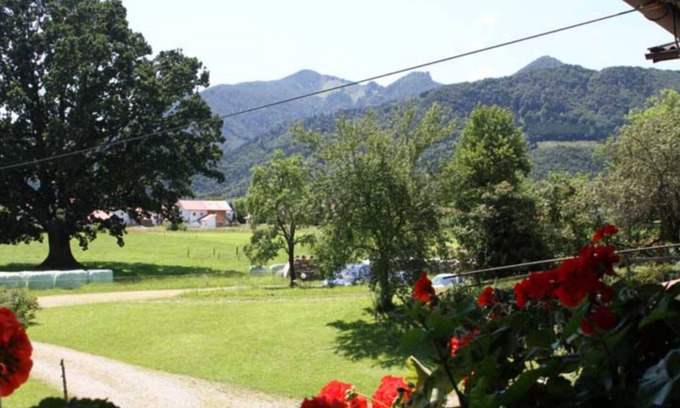 Grassau Apartment | Appartement Rosmarin 28 qm 1-2 Pers., Kochnische, Balkon