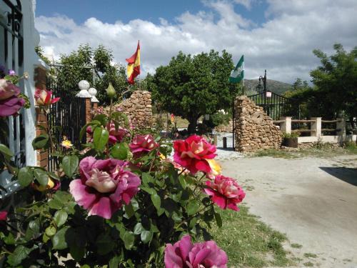 El Sauco House | Cortijo Los Soledad