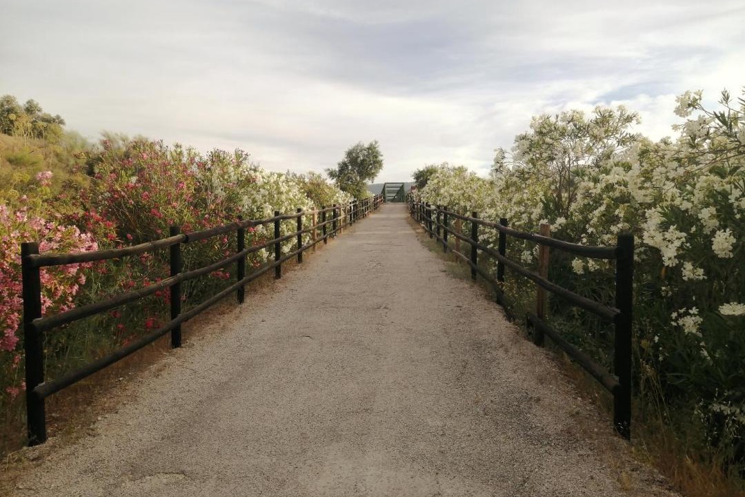 Luque Apartment | El Pajar - Apartamento rural en la Vía Verde