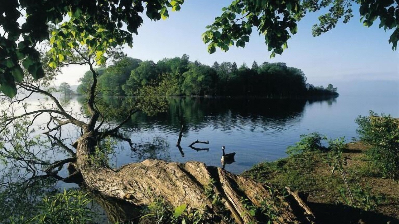 Photo of Outdoor in Feldafing