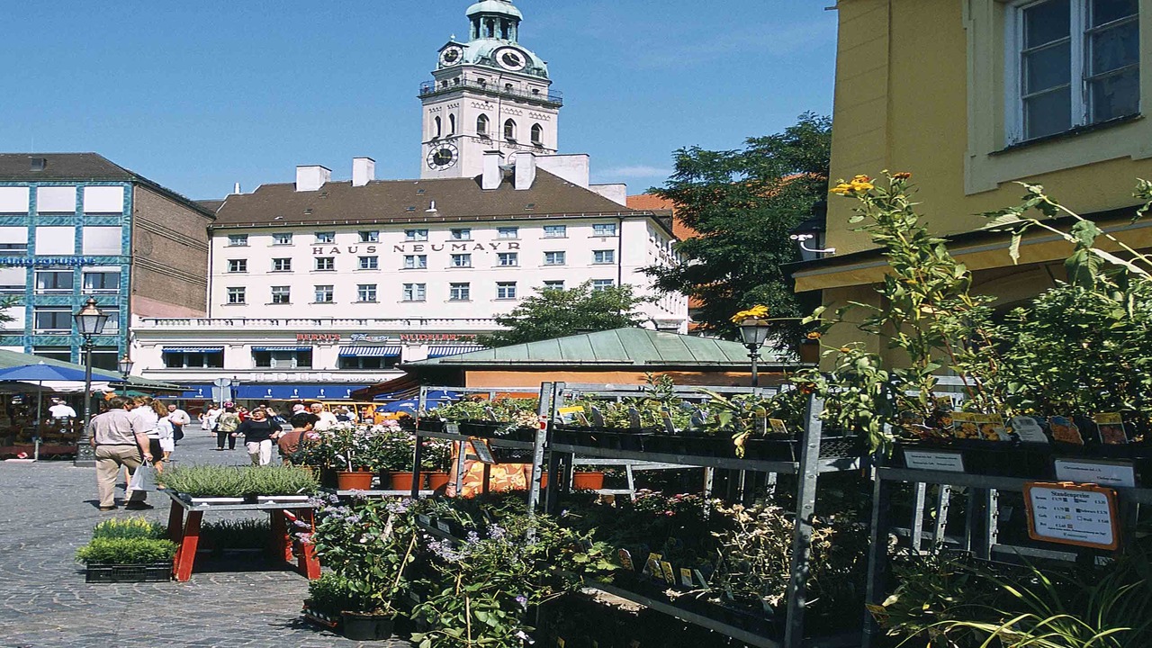 Photo of Buildings in Englschalking