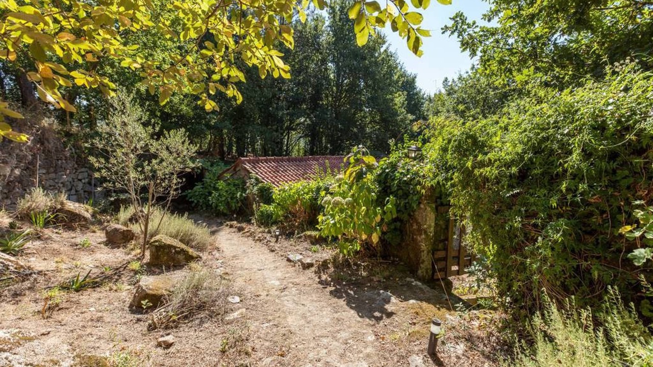 Photo of Outdoor in Covas