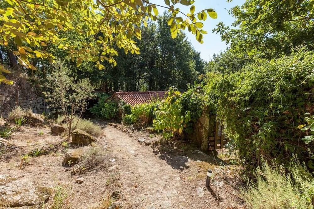 Photo of Outdoor in Covas
