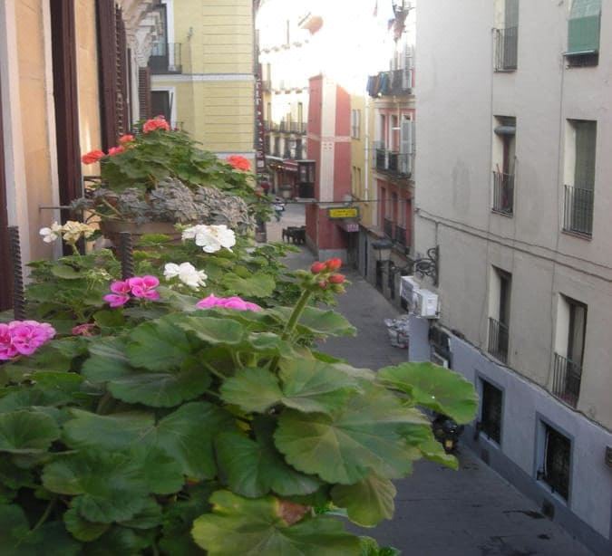 Photo of Buildings in Sol