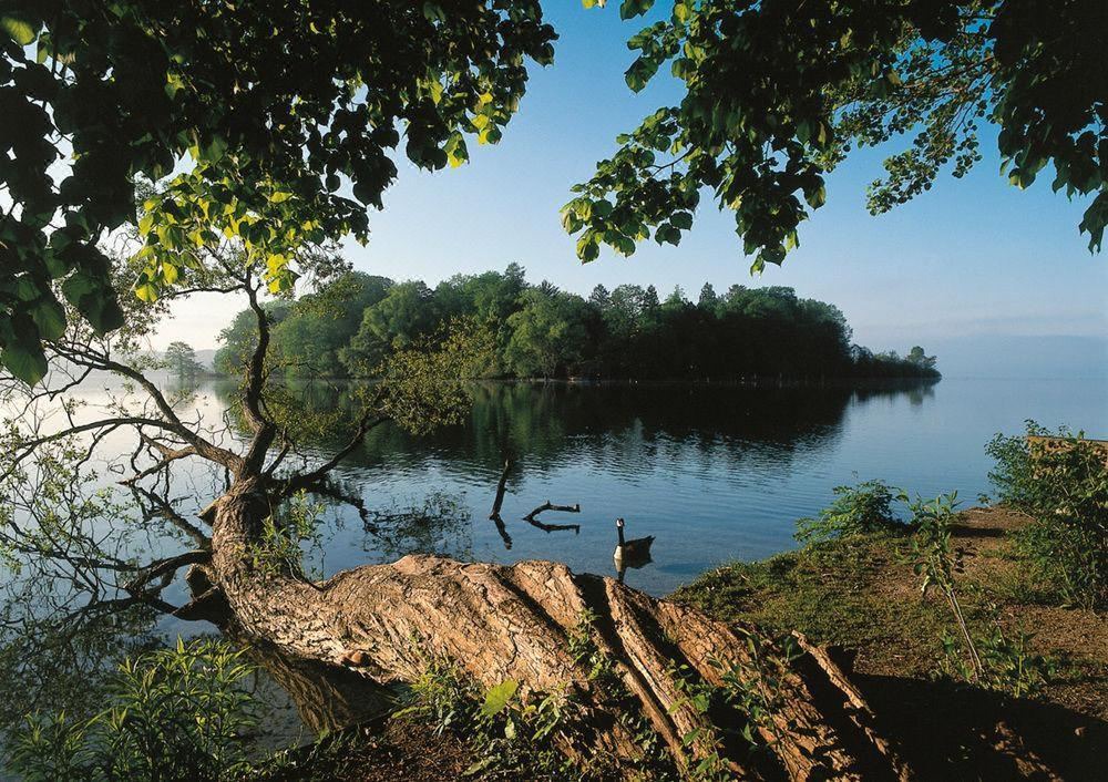 Photo of Outdoor in Starnberg