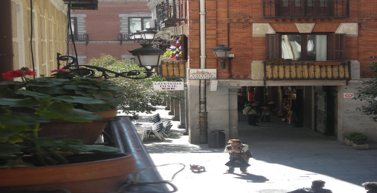 Photo of Others in Sol