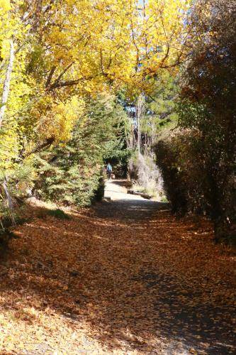 Photo of Outdoor in Kelvin Heights
