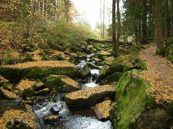 Photo of Others in Waldkirchen