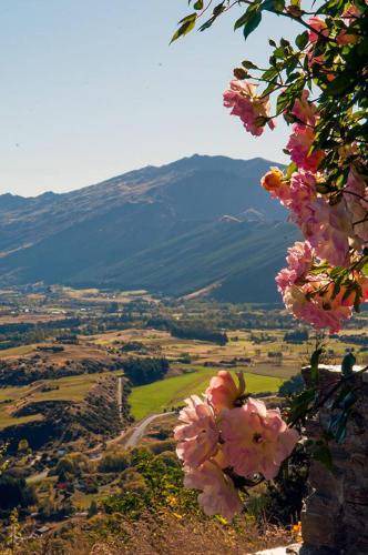 Photo of Others in Arrowtown