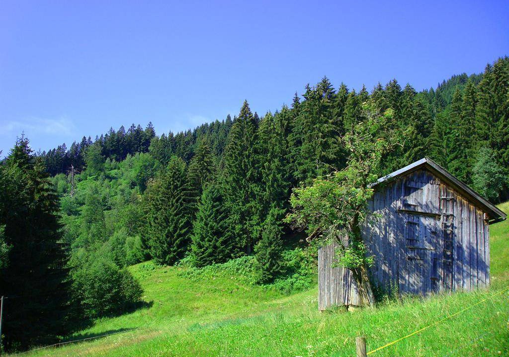 Photo of Others in Ofterschwang