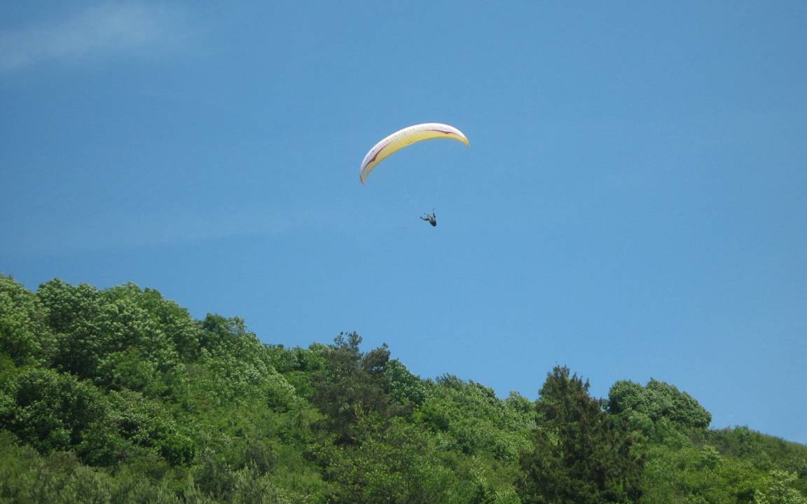 Photo of Others in Ehingen