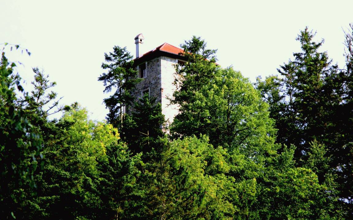 Photo of Others in Passau