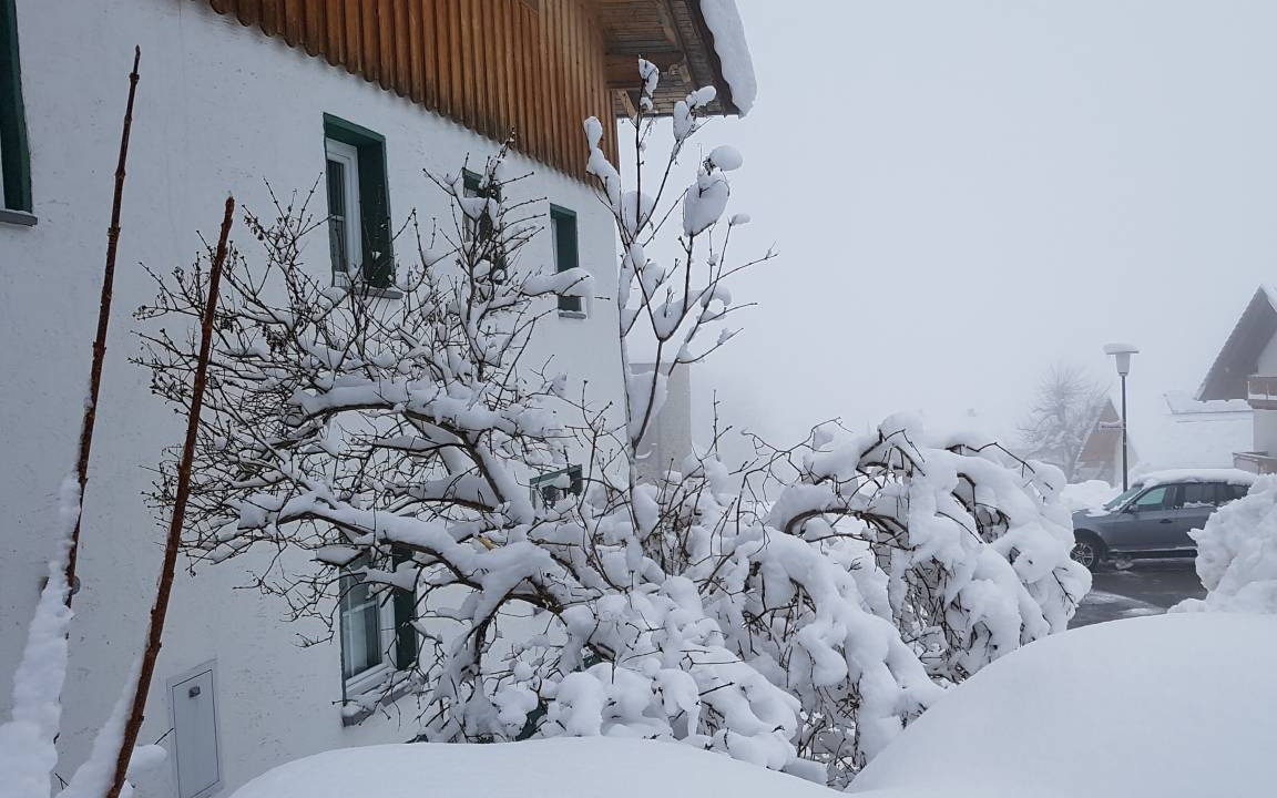 Photo of Others in Untermitterdorf