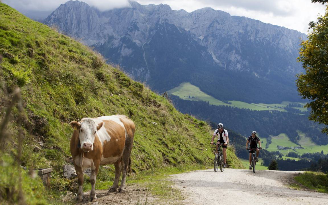 Photo of Others in Walchsee