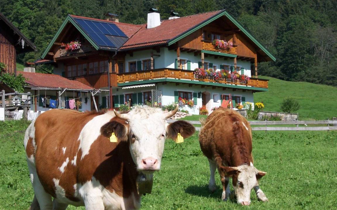 Photo of Others in Inzell