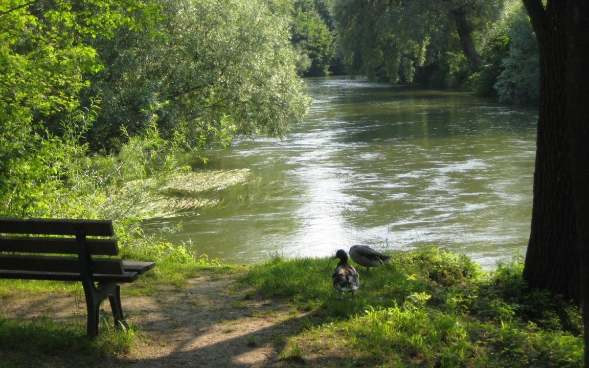 Photo of Others in Furstenfeldbruck District
